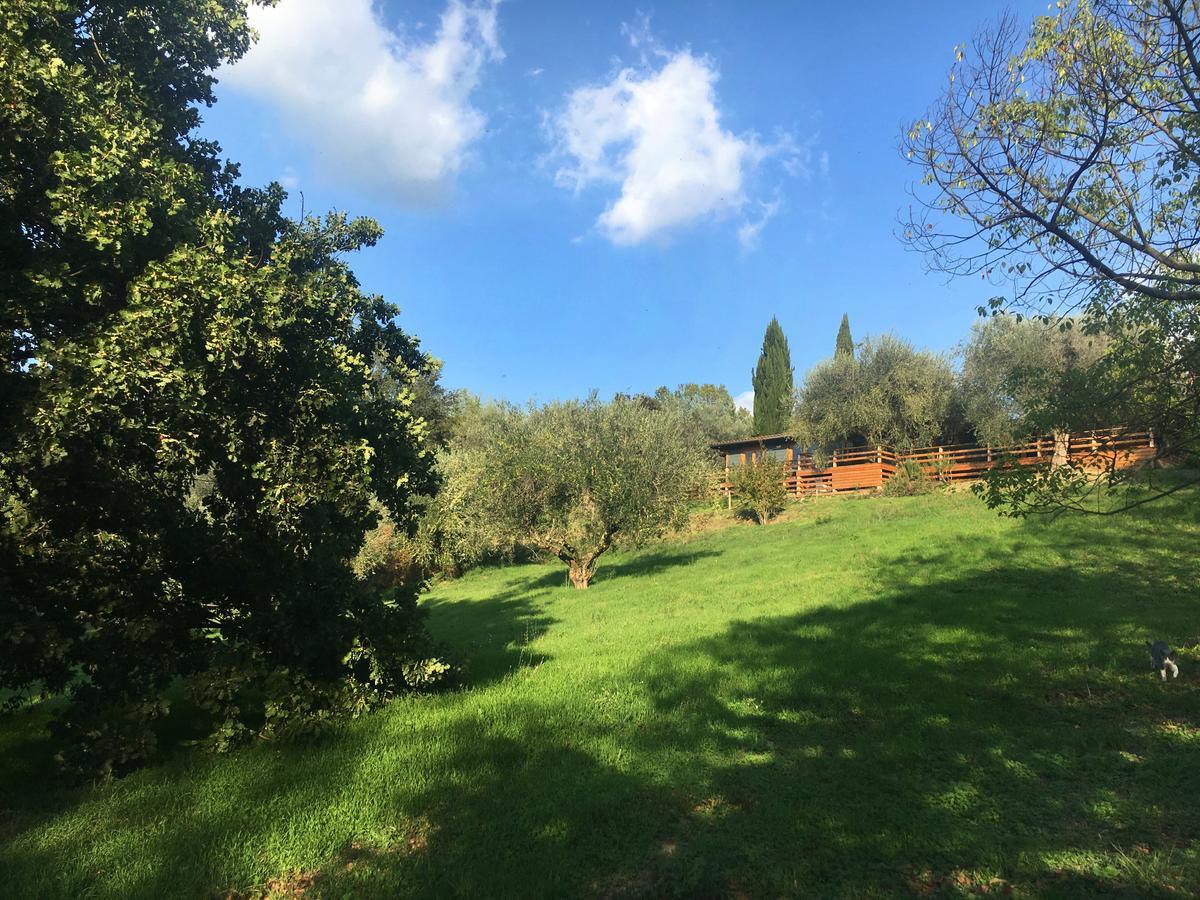 Madonnella Agricola Cesano Exterior photo