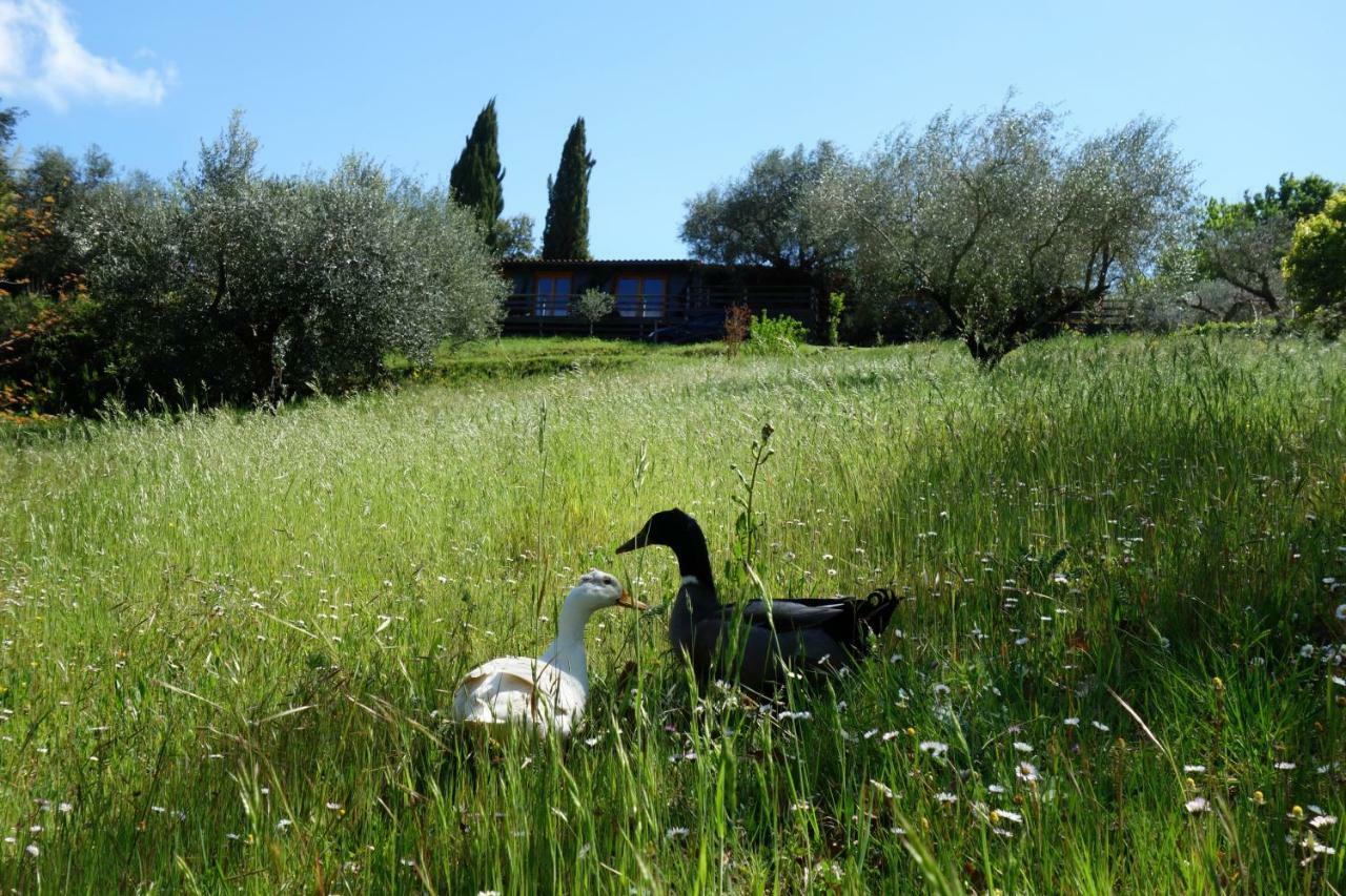 Madonnella Agricola Cesano Exterior photo